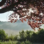 Oasi Delle Gazze