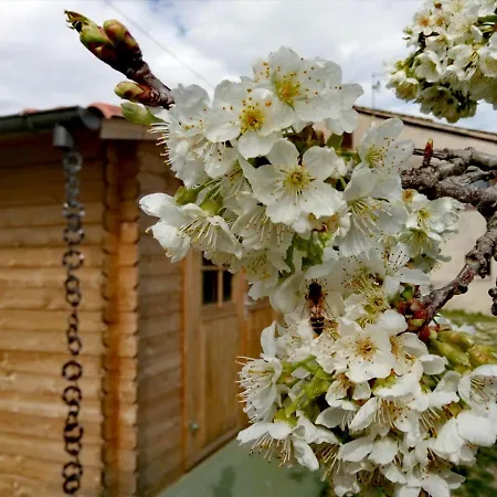 Oasi Delle Gazze Casa vacanze *