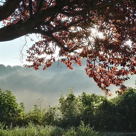 Oasi Delle Gazze